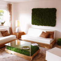 Mousse verte dans un salon moderne