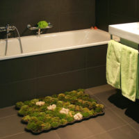 Tapis mousse vivant devant la baignoire