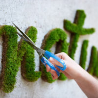 Graffiti stabilisé à la mousse