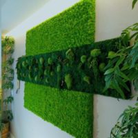Panneau de mousse sur le mur du salon