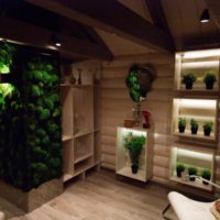 Mousse vivante à l'intérieur d'une maison en bois