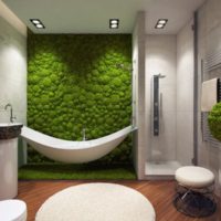 Mousse vivante dans la décoration de la salle de bain