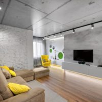 Mousse verte dans un intérieur gris