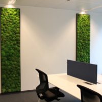Mousse à l'intérieur des bureaux