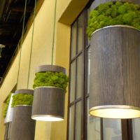 Moss à la décoration de suspensions