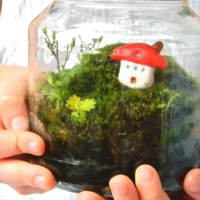 Florarium bricolage
