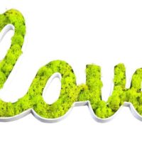 Sticker Mousse Vivant