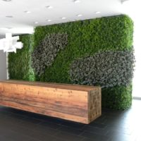 Bois et mousse dans un décor moderne