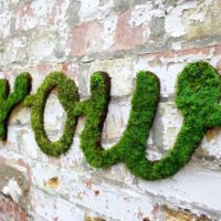 Inscription de mousse verte sur un vieux mur de briques