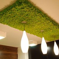 Décor du plafonnier avec une mousse