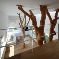 Arbres dans la maison design d'intérieur