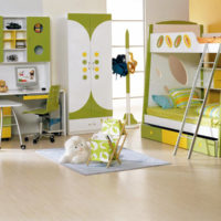 Couleur olive en pépinière