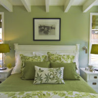 Textiles et murs dans les tons olive dans le design de la chambre