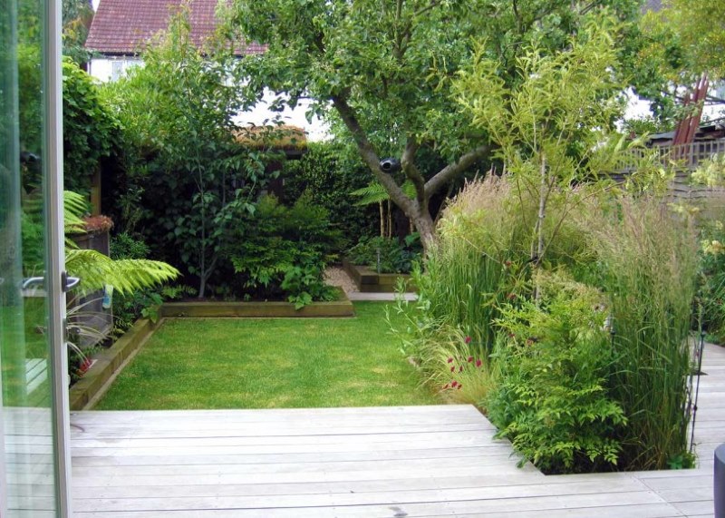 Une petite pelouse avec une pelouse dans le pays