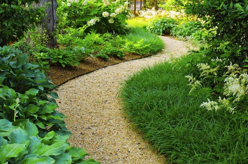 Un chemin sinueux dans la conception d'un petit jardin