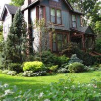 Mélange de conifères devant les fenêtres d'une maison privée