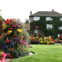 Décorer un terrain privé avec des plantes à fleurs
