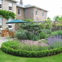 Parterres de fleurs avec des vivaces en fleurs devant une maison privée