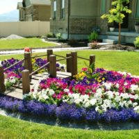 Pont en bois sur un lit de fleurs