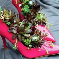Vases à fleurs de vieilles chaussures