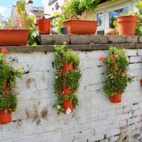 Décorer une clôture en brique avec des pots de fleurs