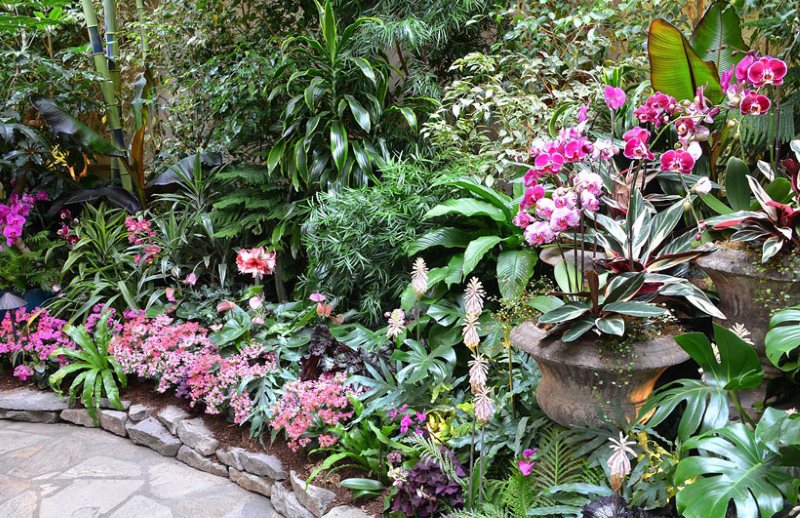 Faire un lit de fleurs dans une petite zone