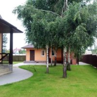 Bouleaux russes dans le paysage d'une parcelle de jardin