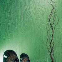 La couleur verte des murs à l'intérieur du salon