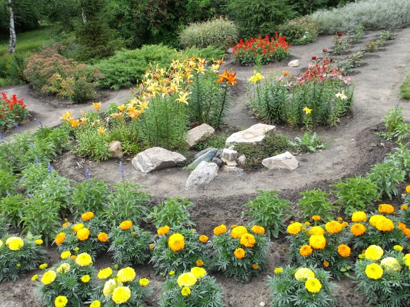 Berceau de fleurs avec des soucis et des lis sur une parcelle de jardin