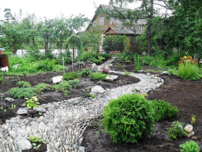 Dry Creek dans la conception de jardin