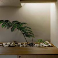 Décor minimaliste