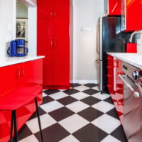 Jaula en blanco y negro en el piso de la cocina