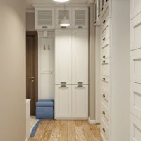 Armoires fermées dans le hall d'entrée d'un appartement en ville