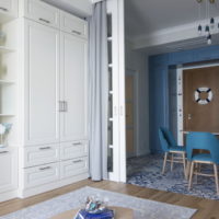 La conception du salon d'une maison de campagne dans un style marin