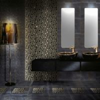 Salle de bain sombre avec mosaïque en céramique