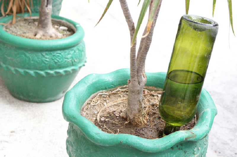 Lifehack à partir d'une bouteille pour l'arrosage des plantes d'intérieur