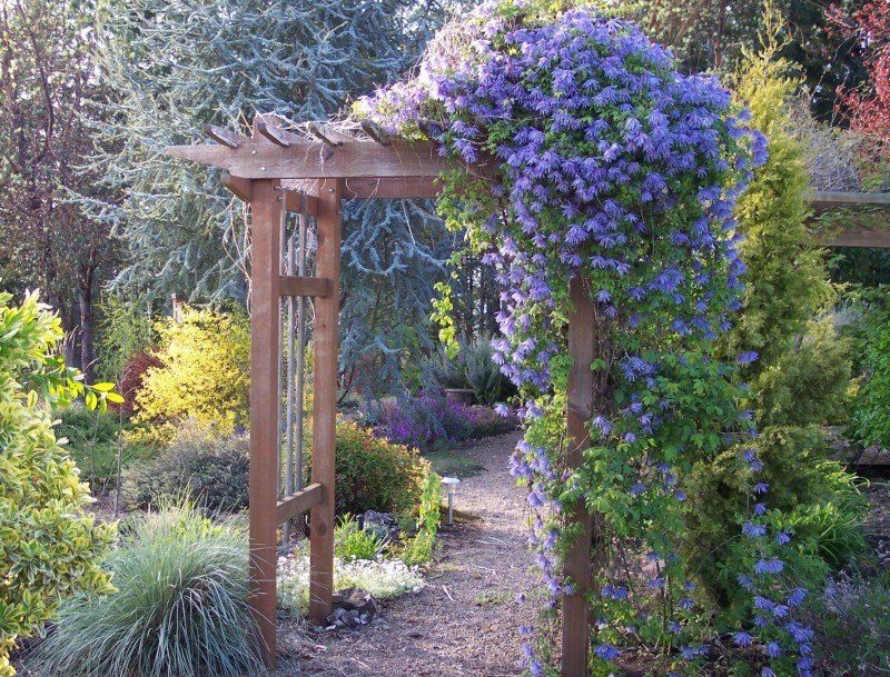 Arche de jardin en bois dans le paysage d'un chalet d'été