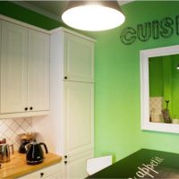 Miroir sur le mur végétal de la cuisine