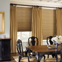 Décoration de fenêtre combinée dans le salon