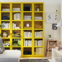 Librería con estantes amarillos