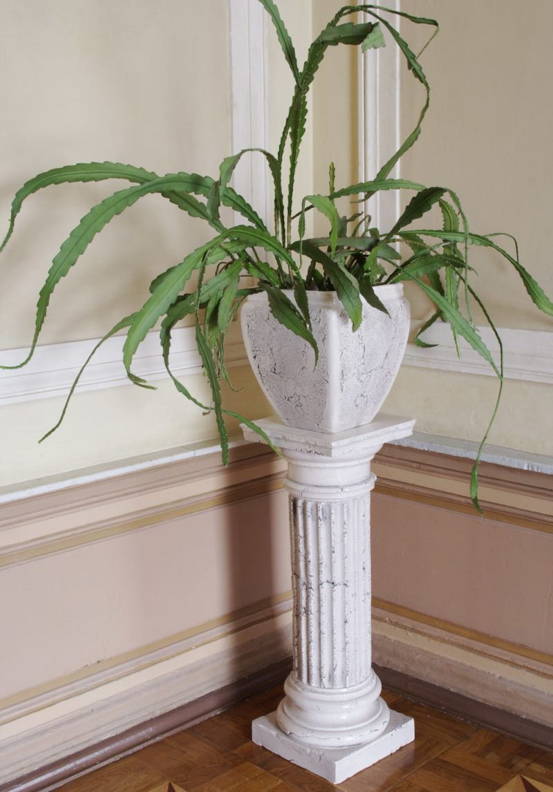 Florero con una planta en un pedestal de piedra