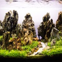 Rocas bajo el agua en el fondo del acuario