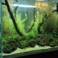 Decoración de enganches y piedras del acuario