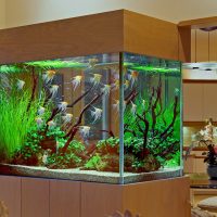 Acuario en un stand