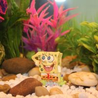 Hacer un acuario en una guardería