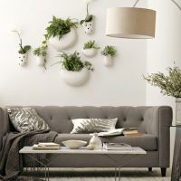 Plantes vivantes comme décor mural