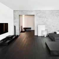 Intérieur minimaliste du salon