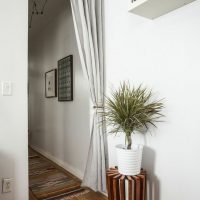 Plante d'intérieur sur un support en bois