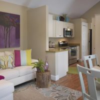 Conception d'un salon-cuisine dans un appartement en tôle