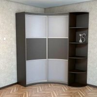 Portes en verre de la garde-robe de rayon